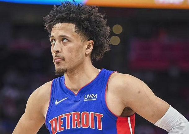 并不陌生 并不陌生