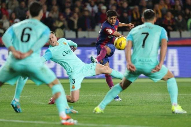 在一家成长 在一家成长